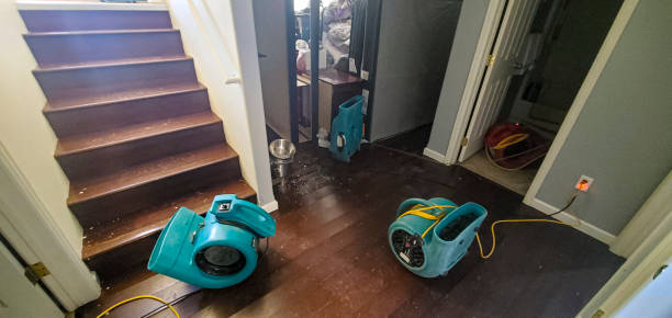 Best Water damage cleanup near me  in USA